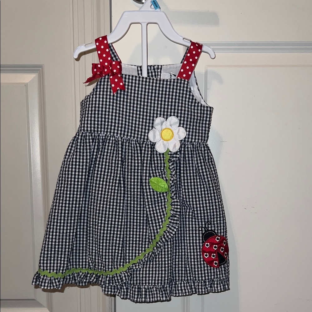 Rare Editions Black & White Gingham Dress with Floral & Ladybug Appliqué 12M